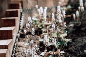 Un nouveau jardin sensoriel vient de voir le jour à l’Hôpital des Enfants