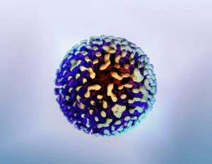 Wereldhepatitisdag: “laten we komaf maken met de barrières!”